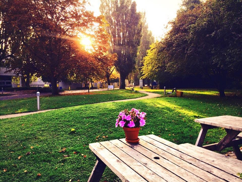 Trenchers Wiltshire photo 3
