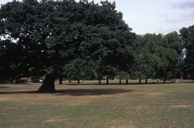 The Pavilion Sports and Cafe photo 4