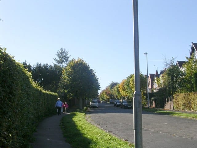 The Spring Community Shop and Cafe photo 5