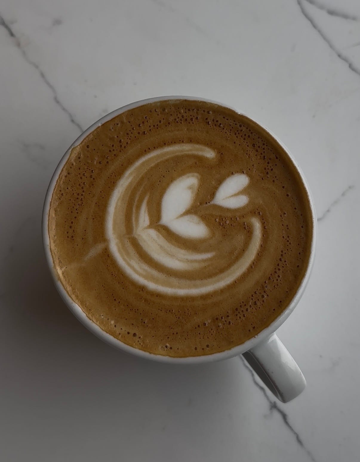167 Coffee photo 3