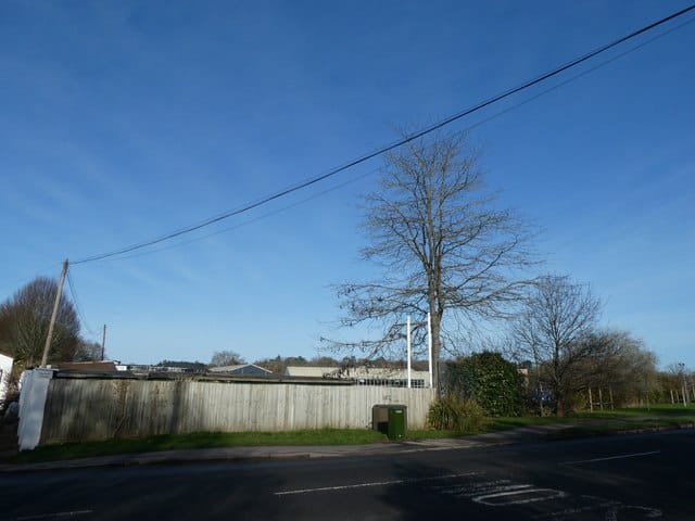 Edwins Garden Centre at Woking photo 5