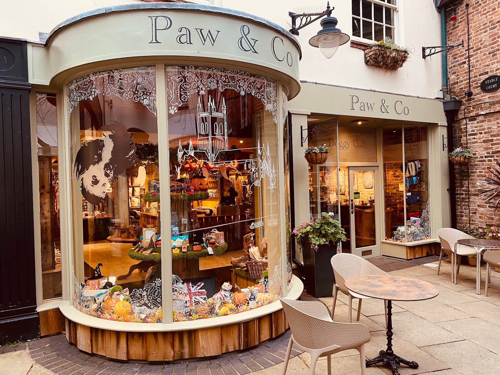 Paw & Co