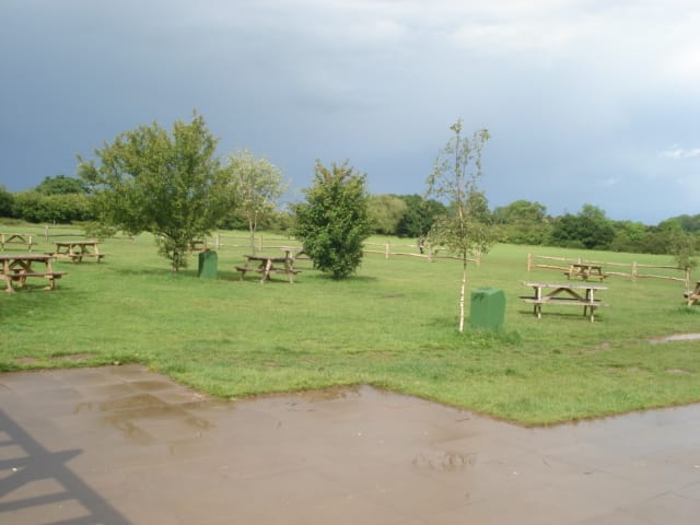 The Orchard photo 4