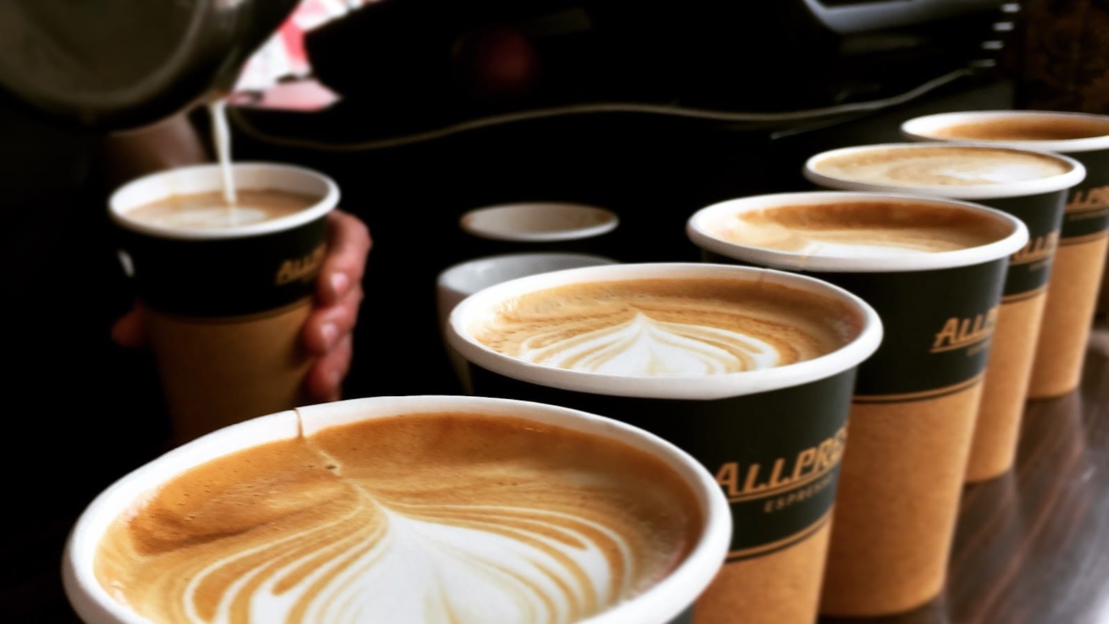 The Dark Horse Espresso Bar Shambles Market