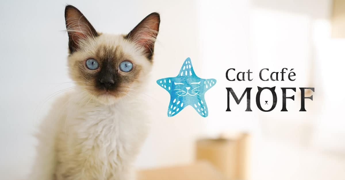 Cat Café MOFF Pearlridge Center