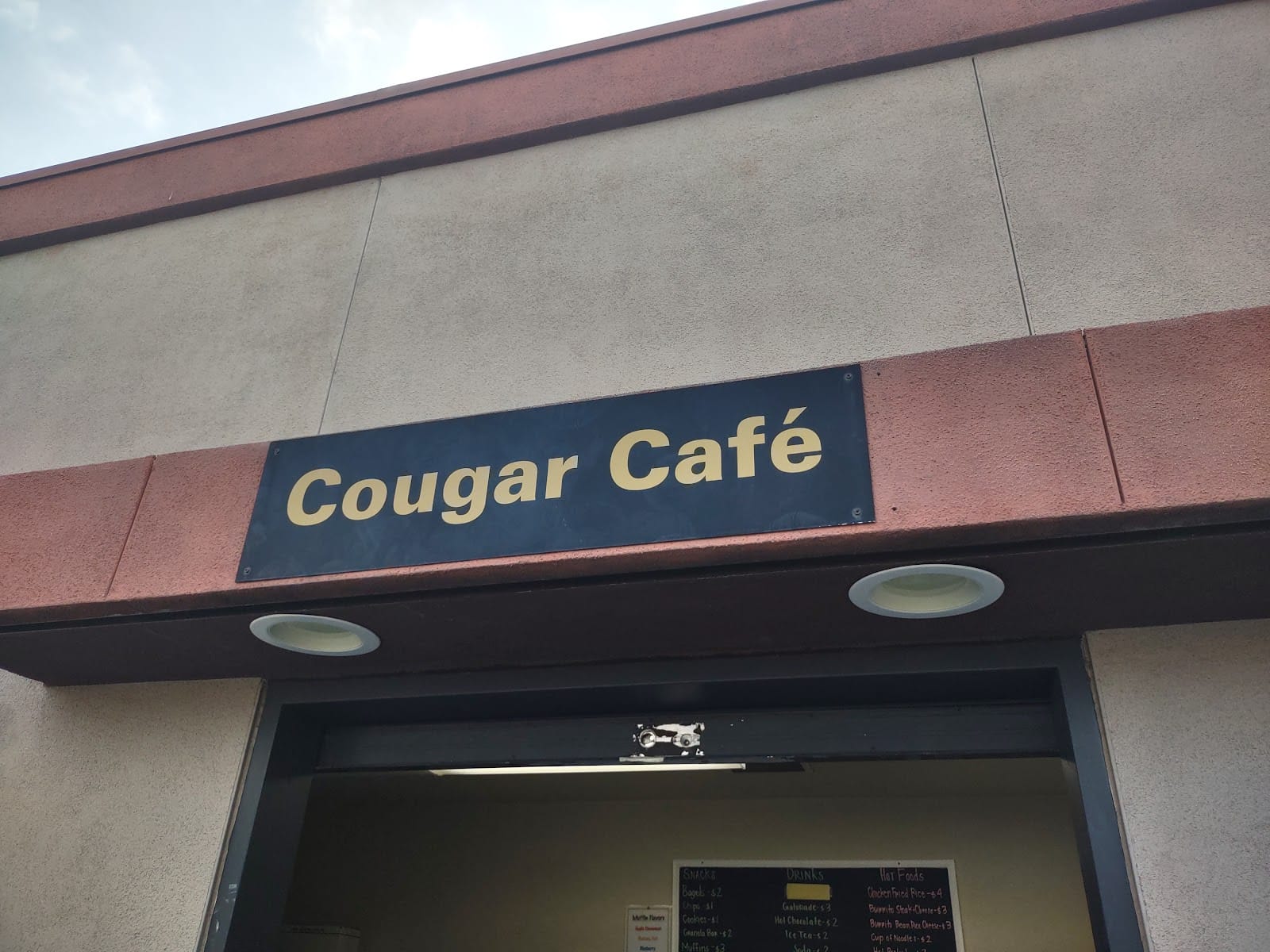 Cougar Cafe
