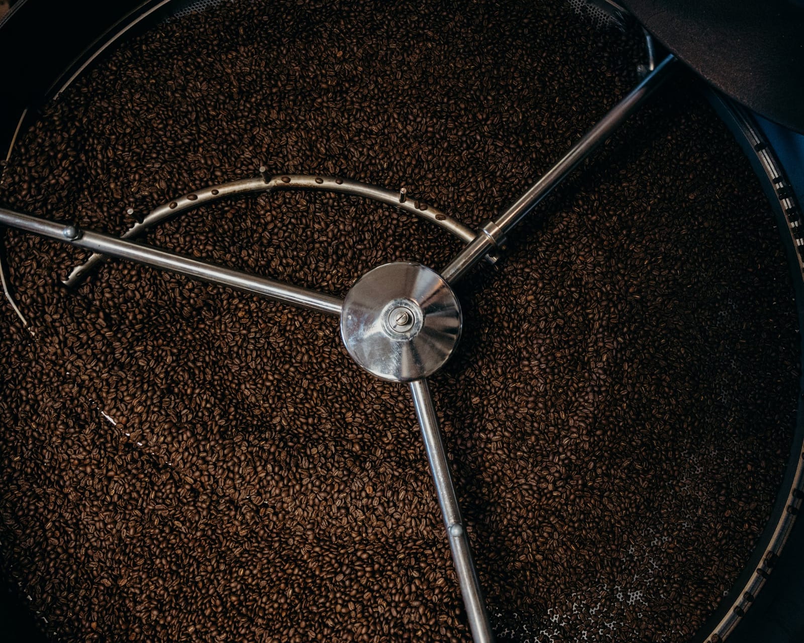 Insomnia Coffee Co - Reed's Crossing photo 3