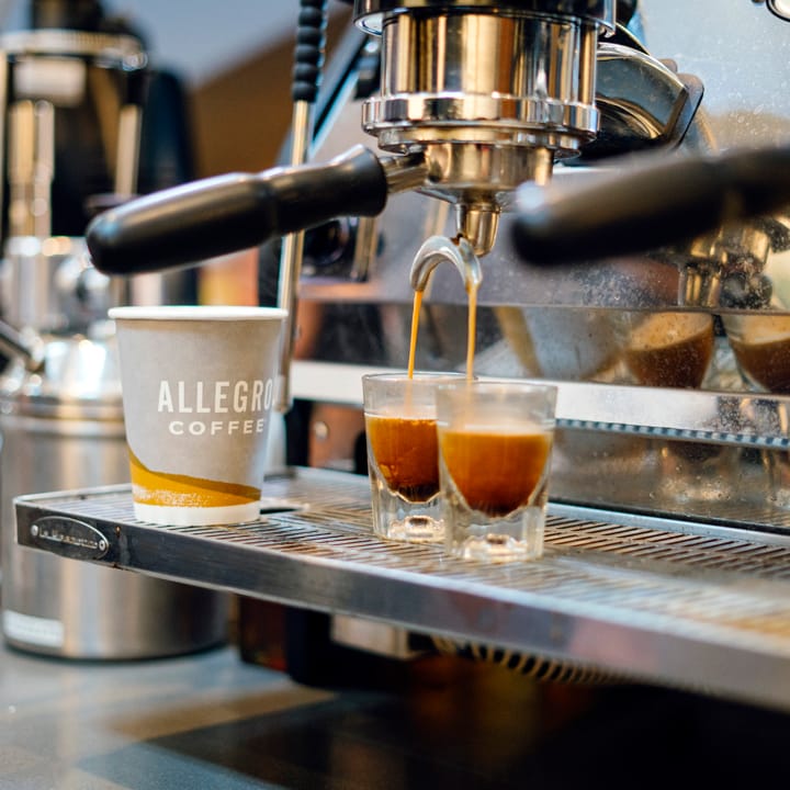 The Main Brews and Bites