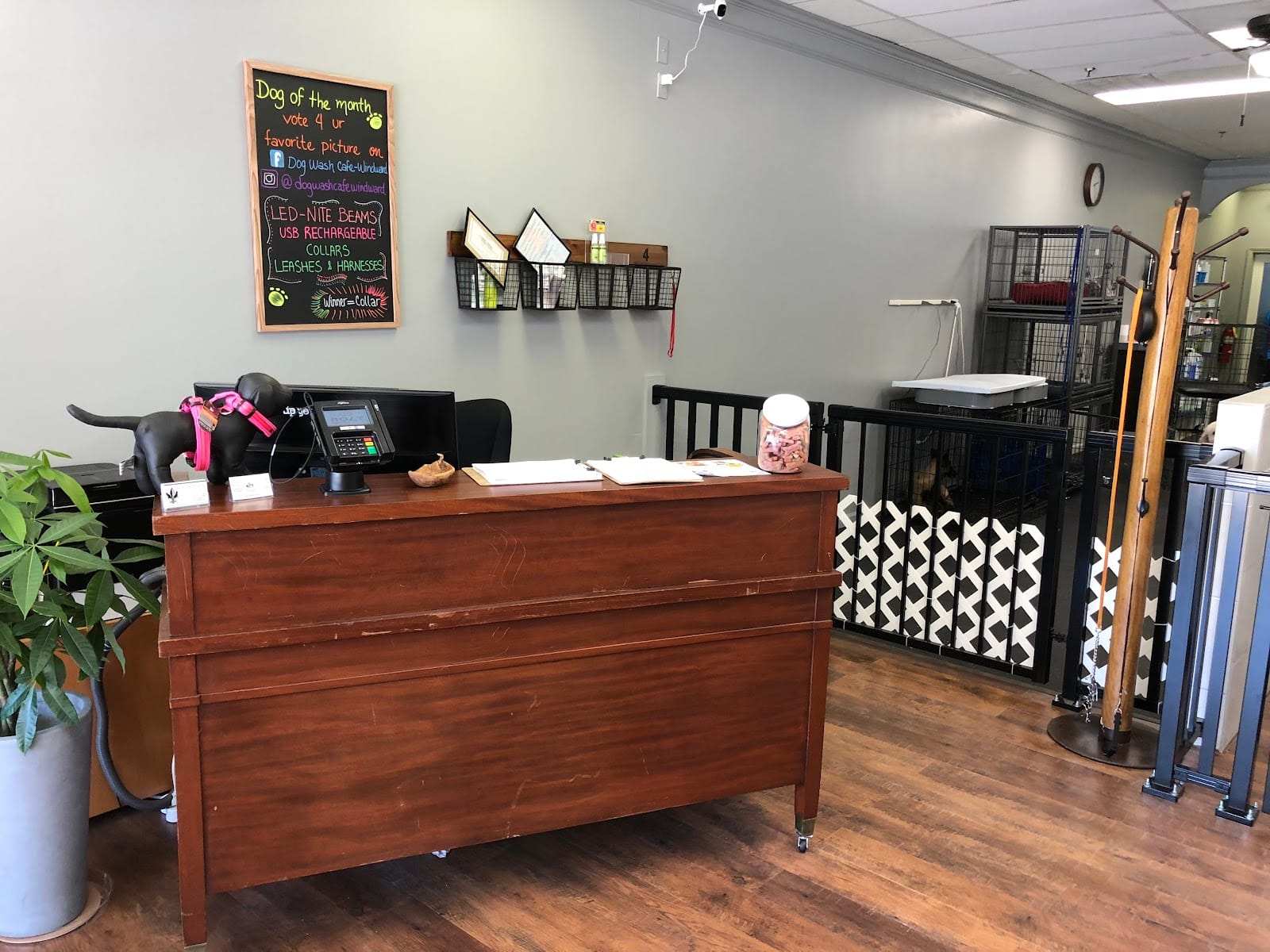 Dog Wash Cafe Pet Spa - Alpharetta/Windward