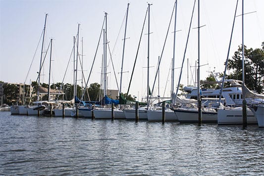 Back Creek Café & Boat Supply photo 2