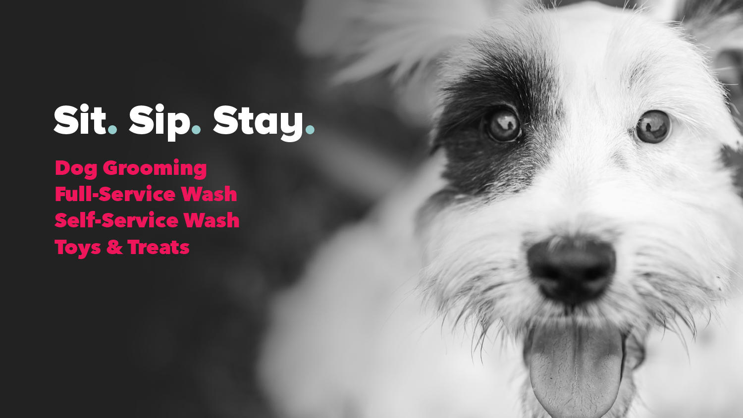 Bark 'N' Bean photo 3