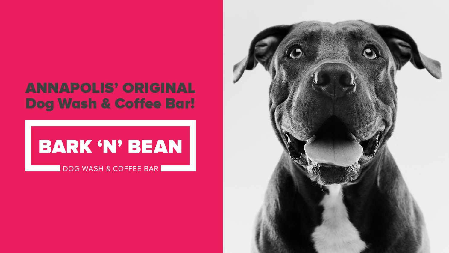 Bark 'N' Bean photo 2