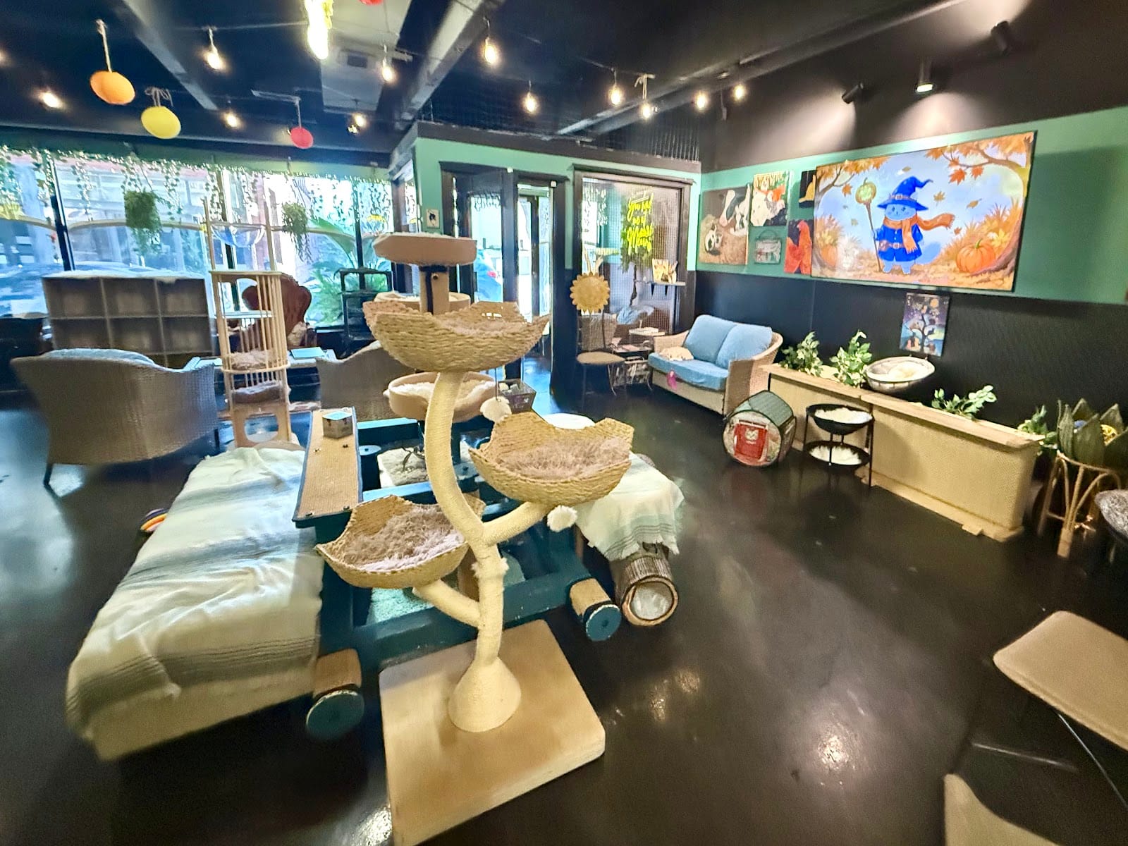 Cats at Play Cafe