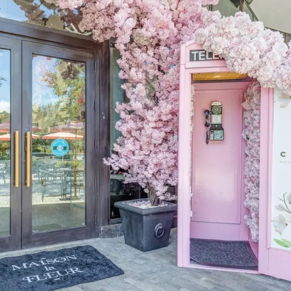 The Cafe Maison la Fleur photo 5