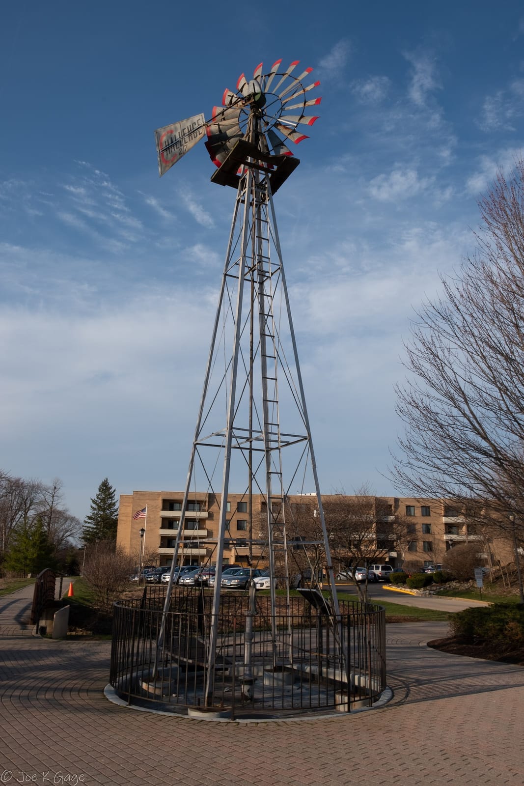 Bulldog Nutrition in Batavia photo 3