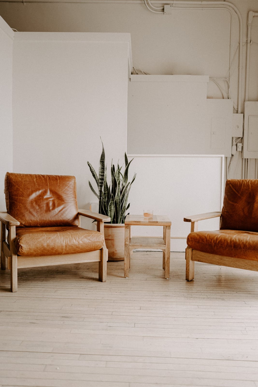 Harless + Hugh Coffee photo 2