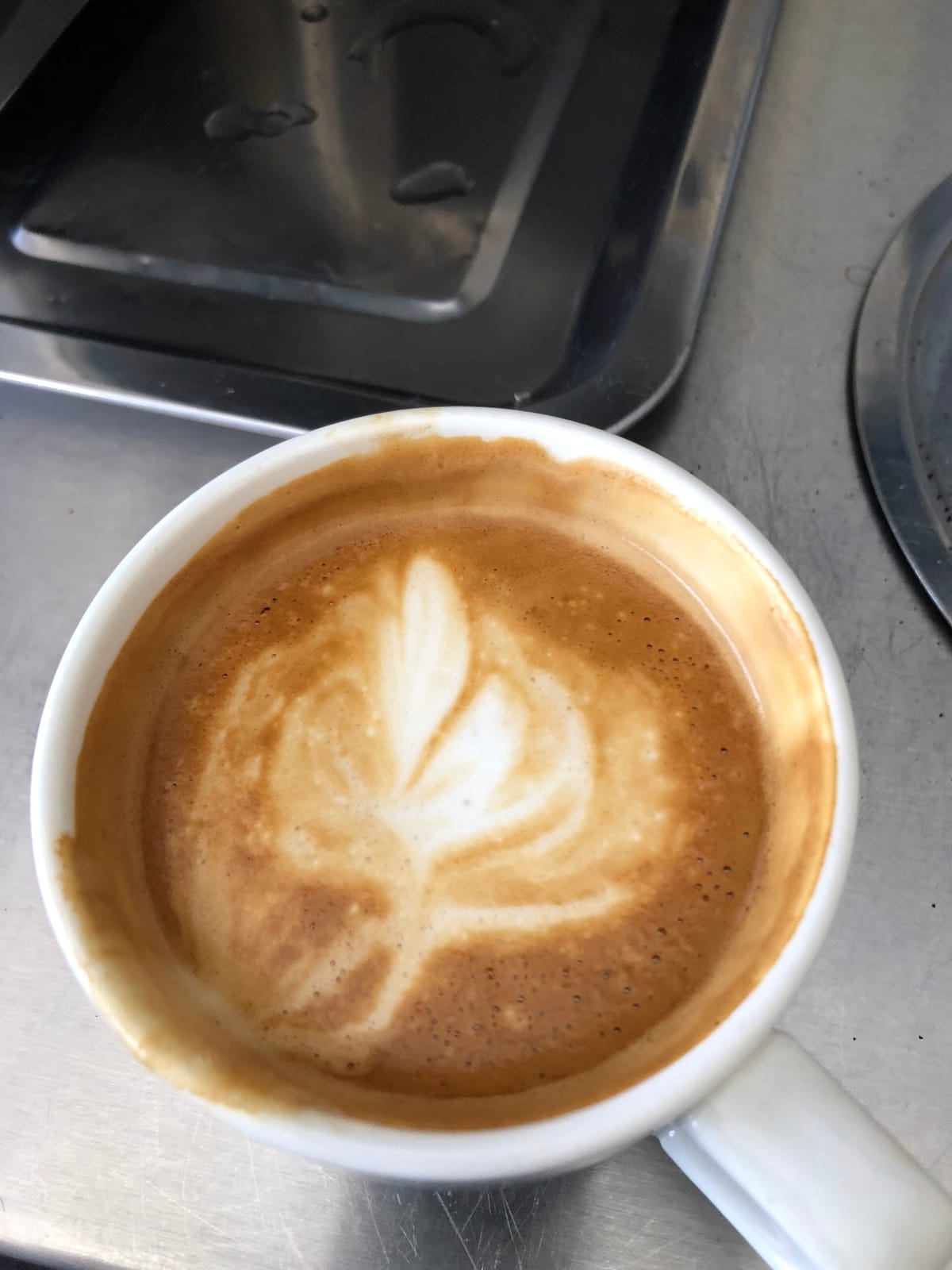 Shaska Deli Cafe
