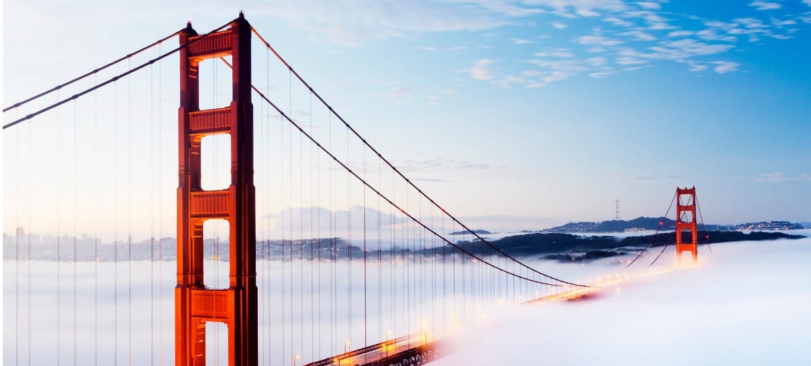 Bay Area Coffee Inc