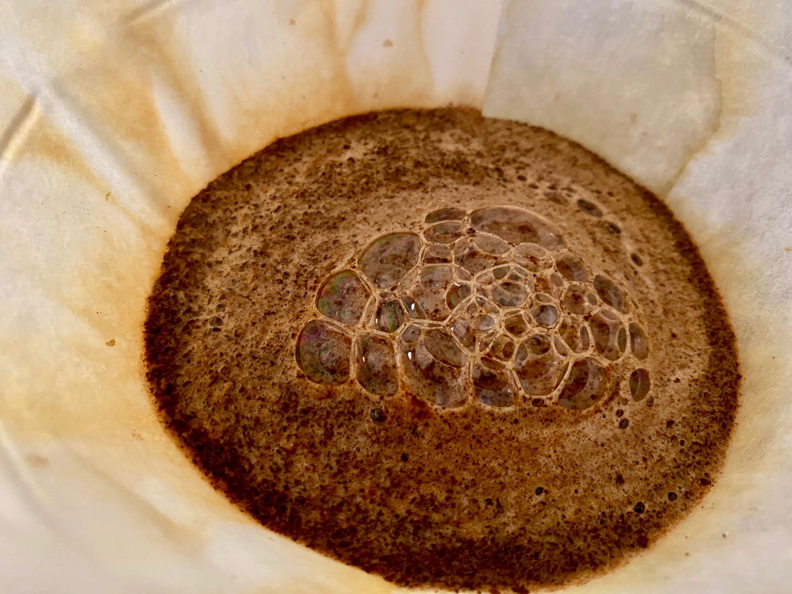 19 Coffee photo 7