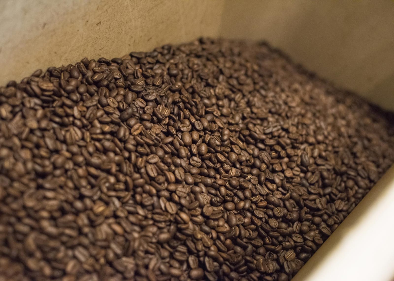 The Roasted Bean photo 2