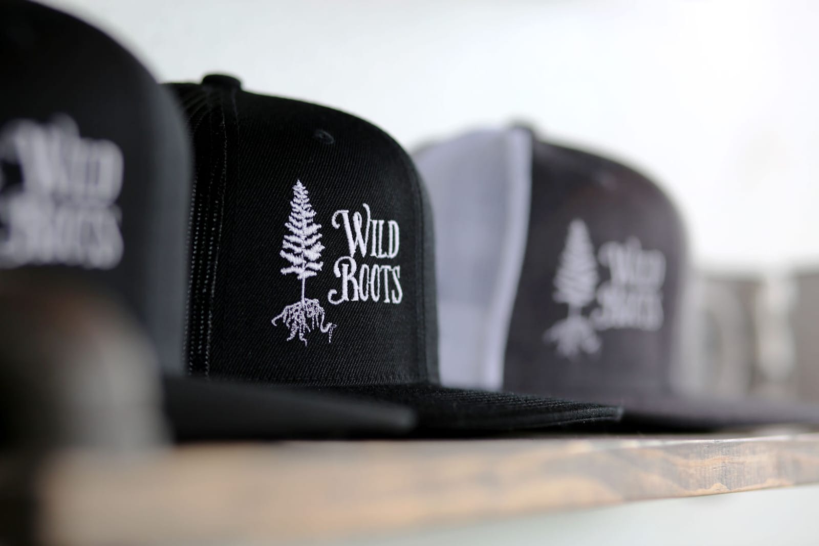 WildRoots Coffeehouse photo 5