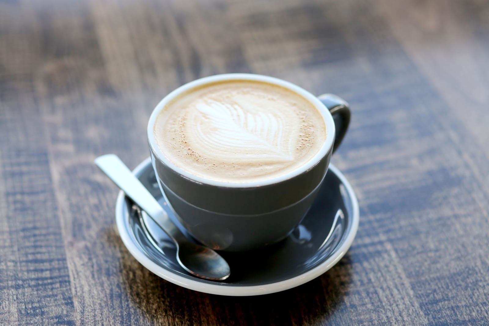WildRoots Coffeehouse photo 2