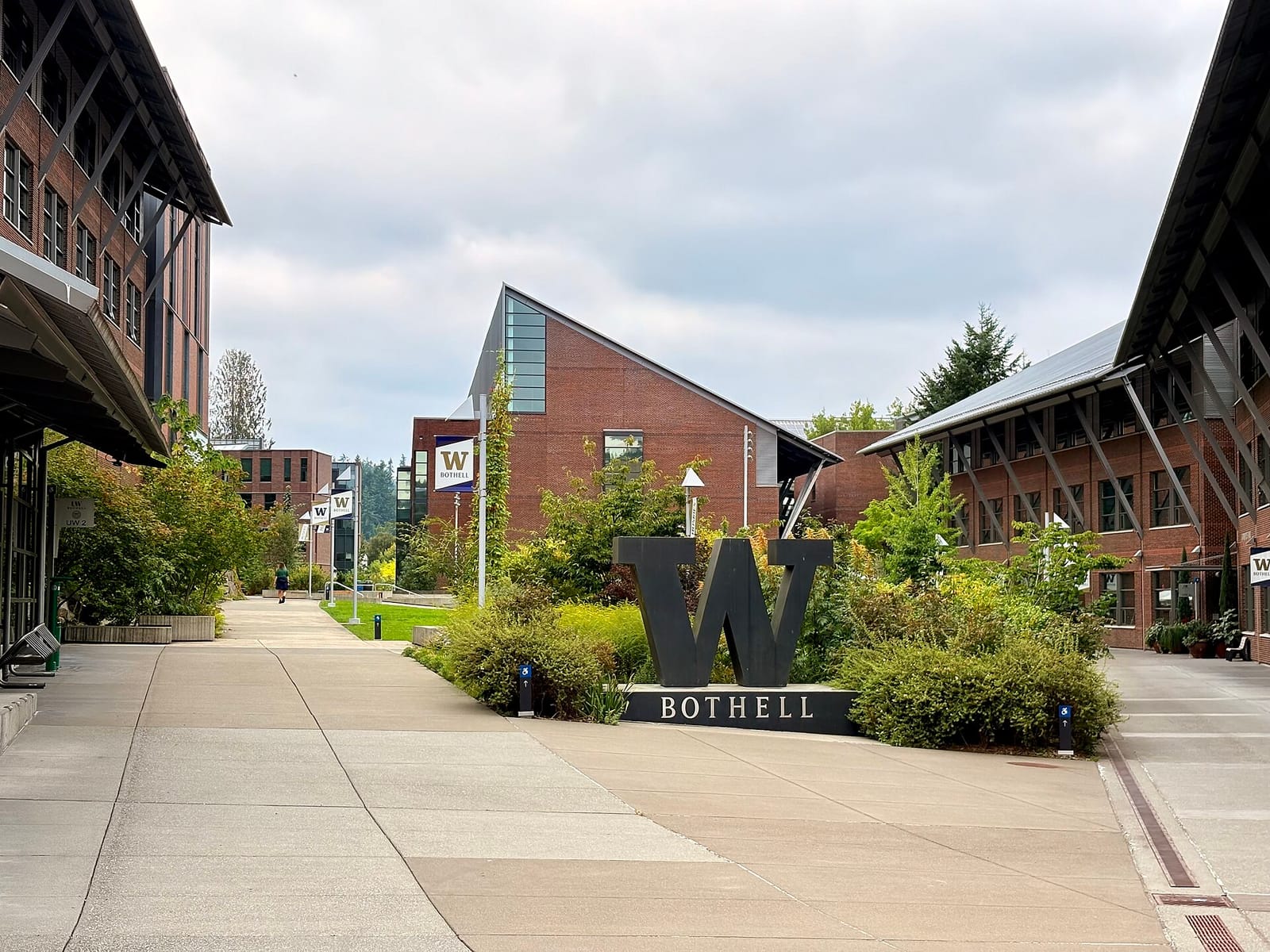 Gold Brew @ University of Washington Bothell photo 3