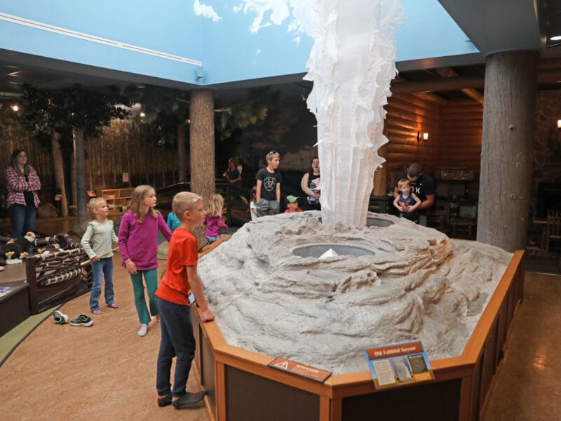 Museum of the Rockies photo 7