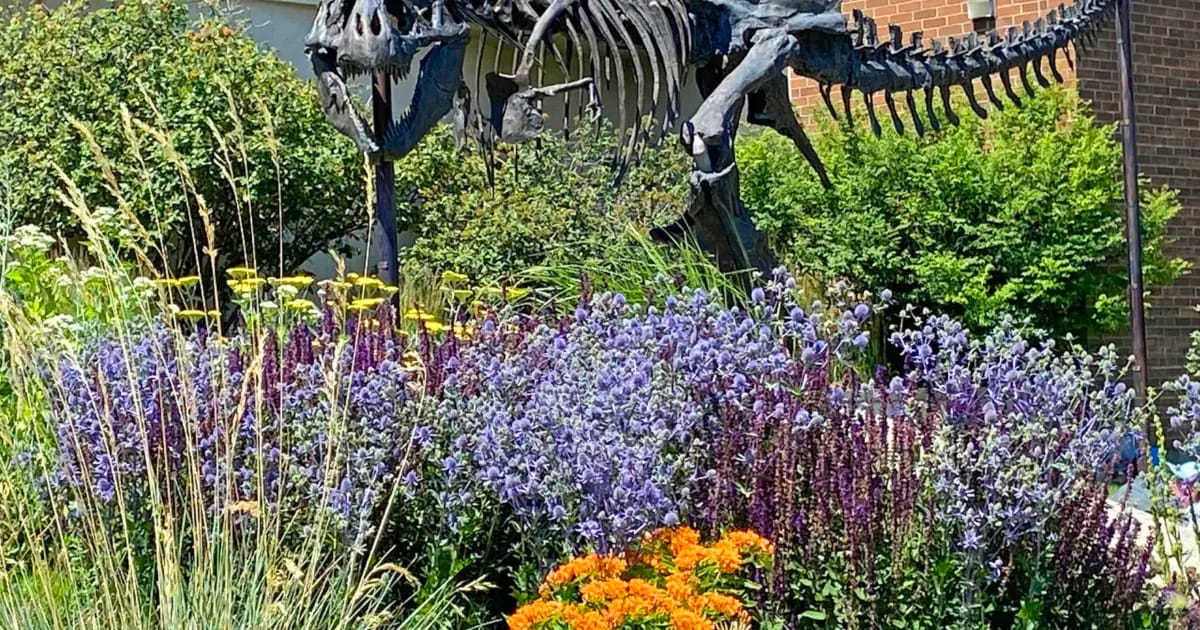 Museum of the Rockies photo 2