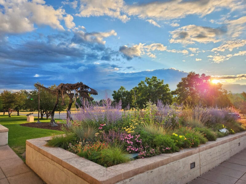 Museum of the Rockies photo 9
