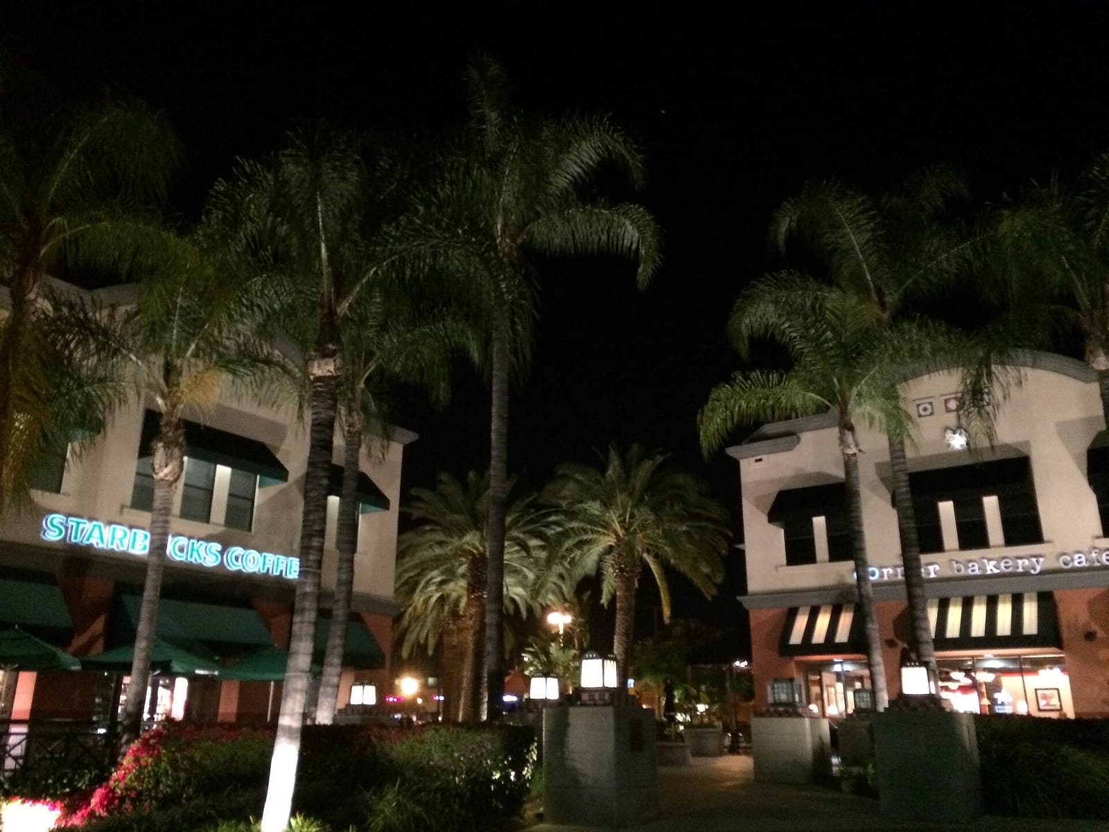 Starbucks Coffee Company photo 2