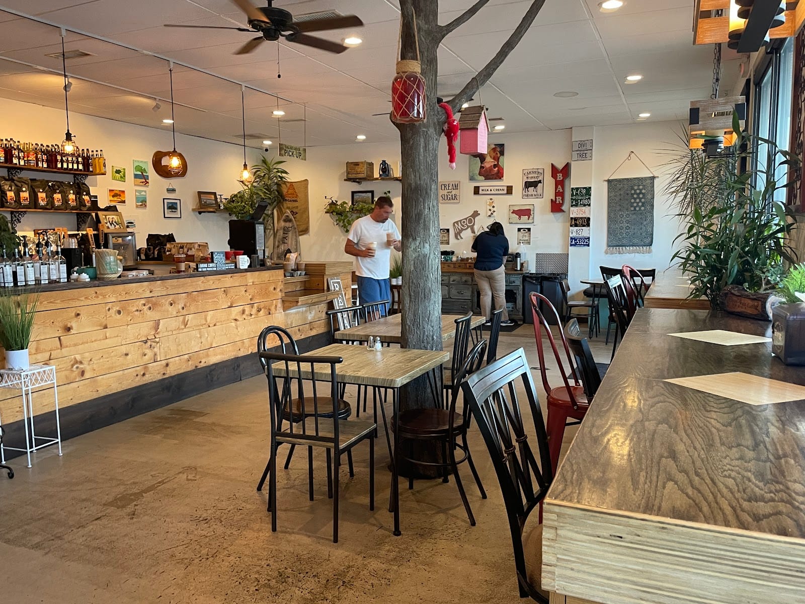 Divi Tree Coffee