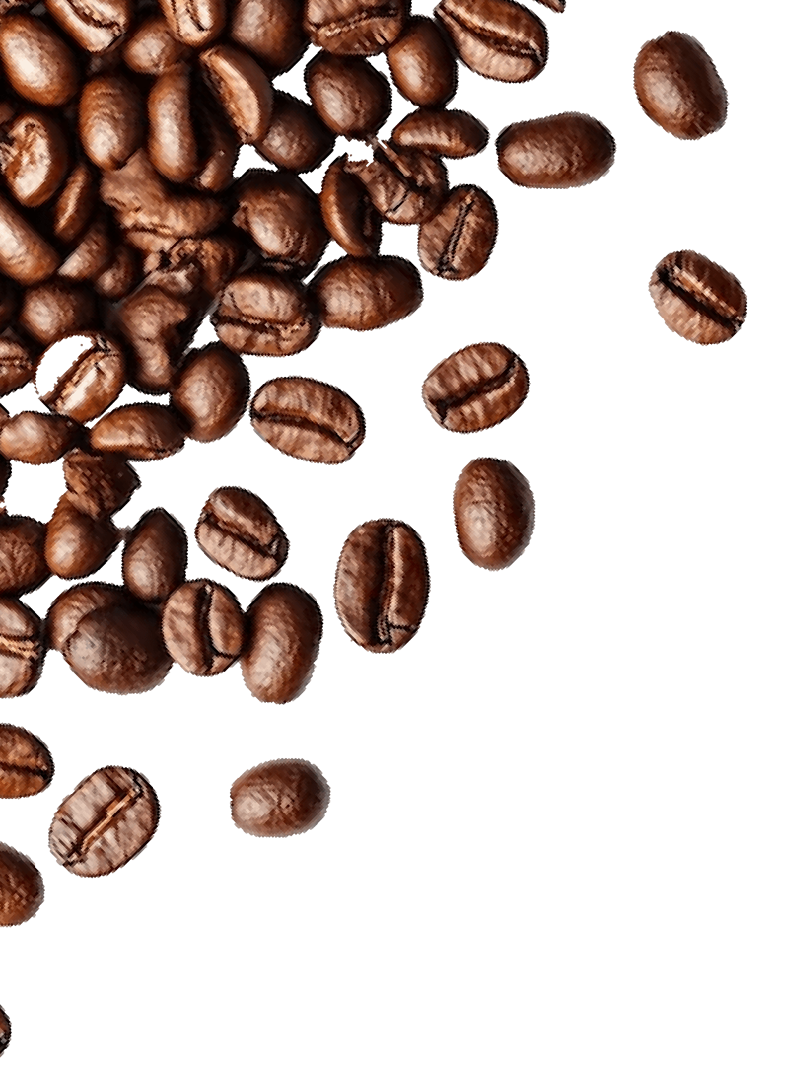 LC coffee lounge photo 6