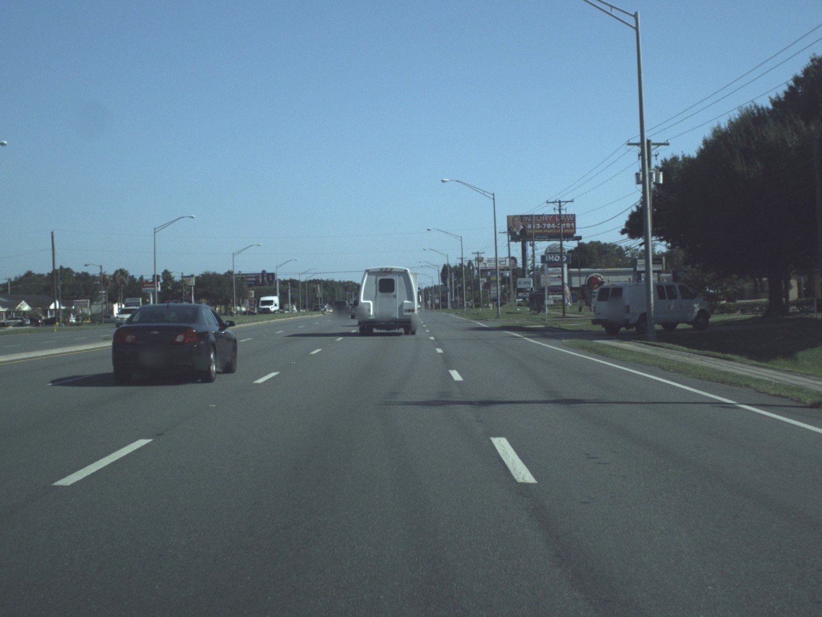 Foxtail Coffee - Carrollwood
