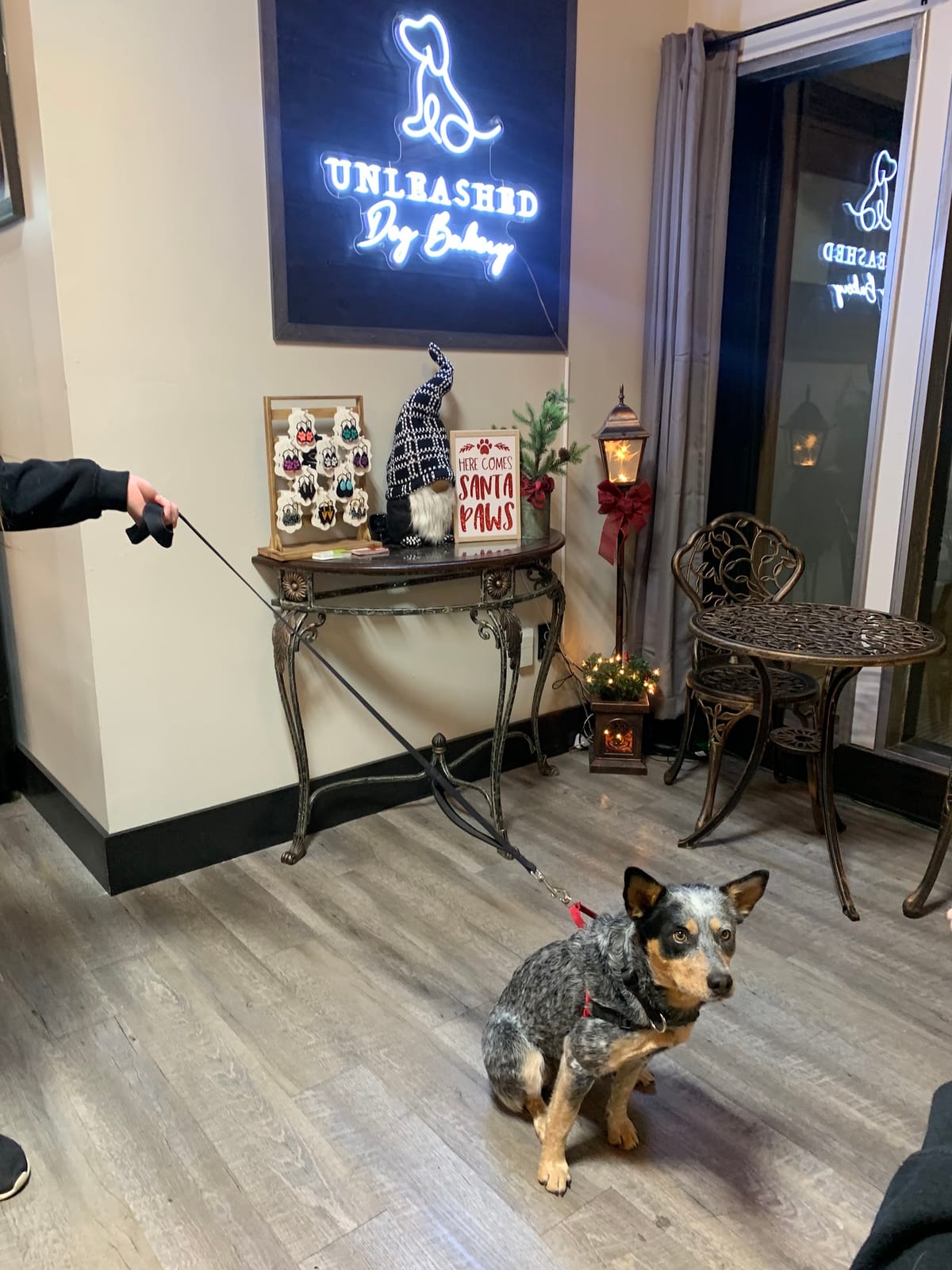Unleashed Dog Bakery