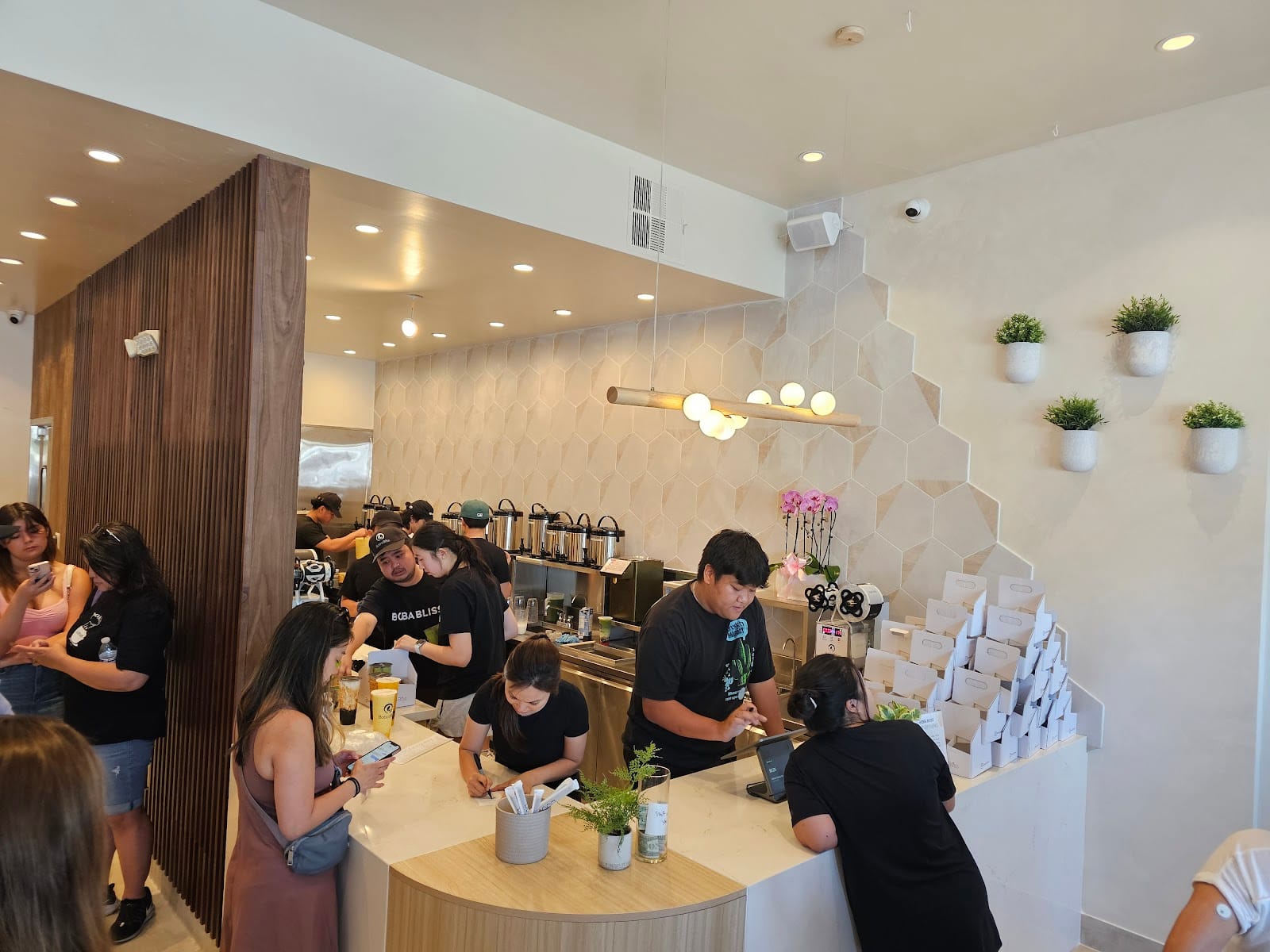 Boba Bliss