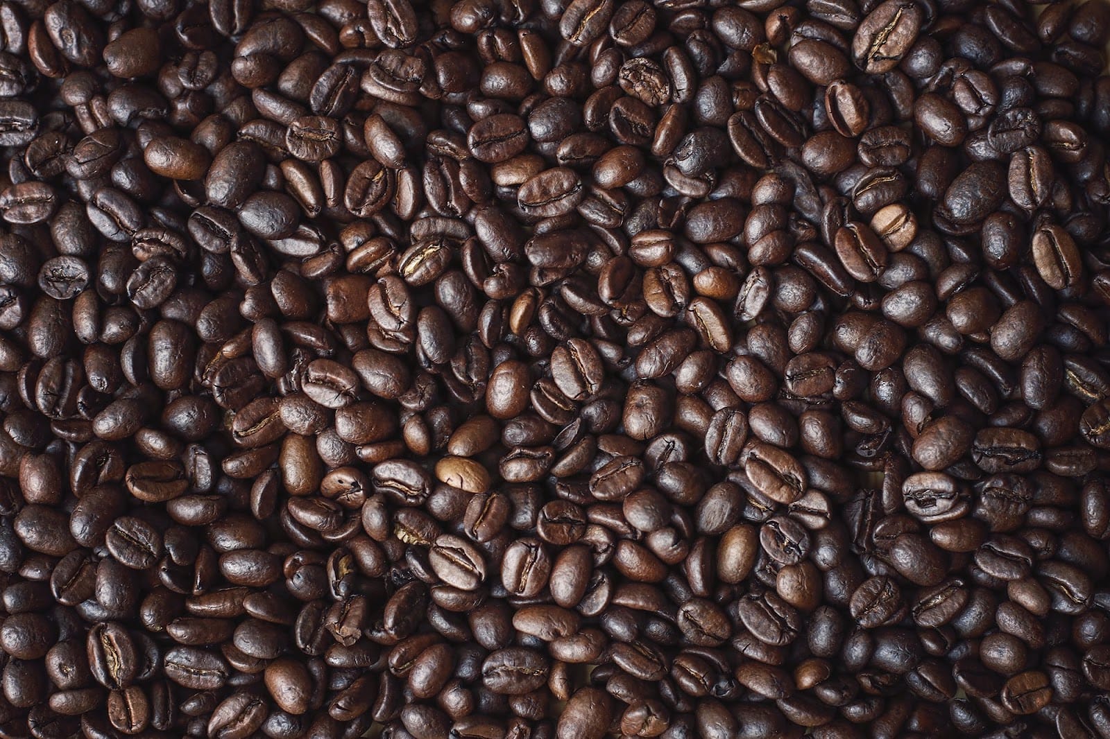 Zoe's Coffee Roasting Co