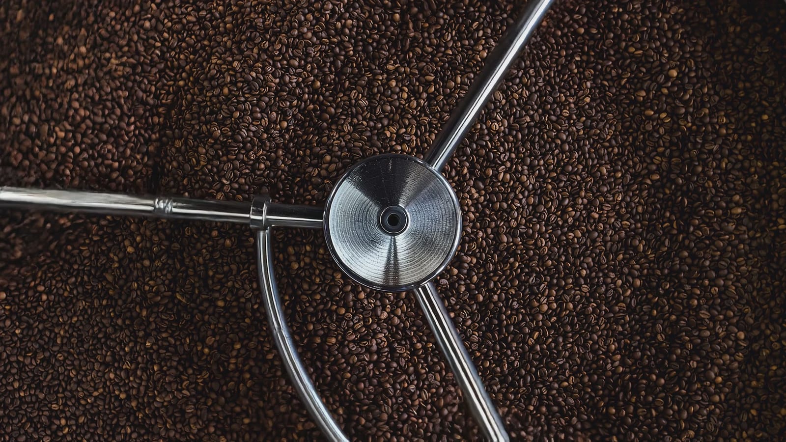 Dandy Lion Coffee Warehouse photo 3