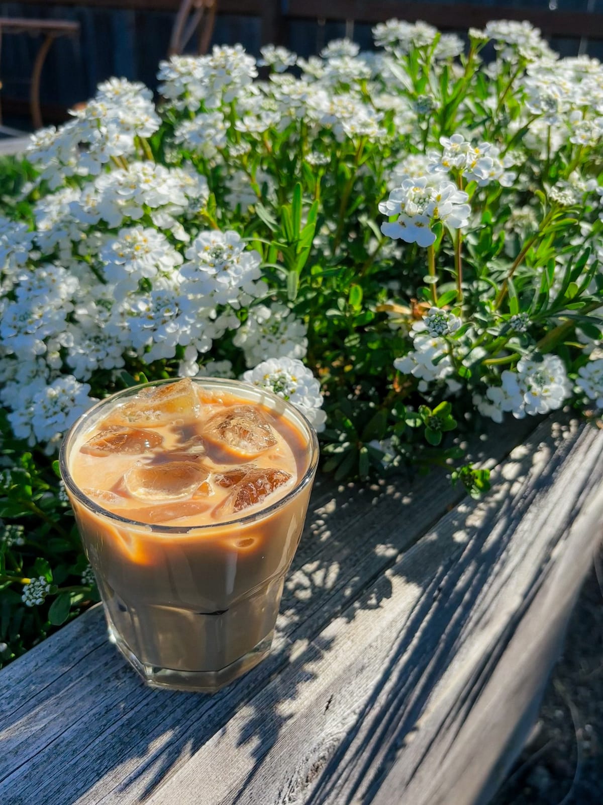 Imagine Coffee photo 3