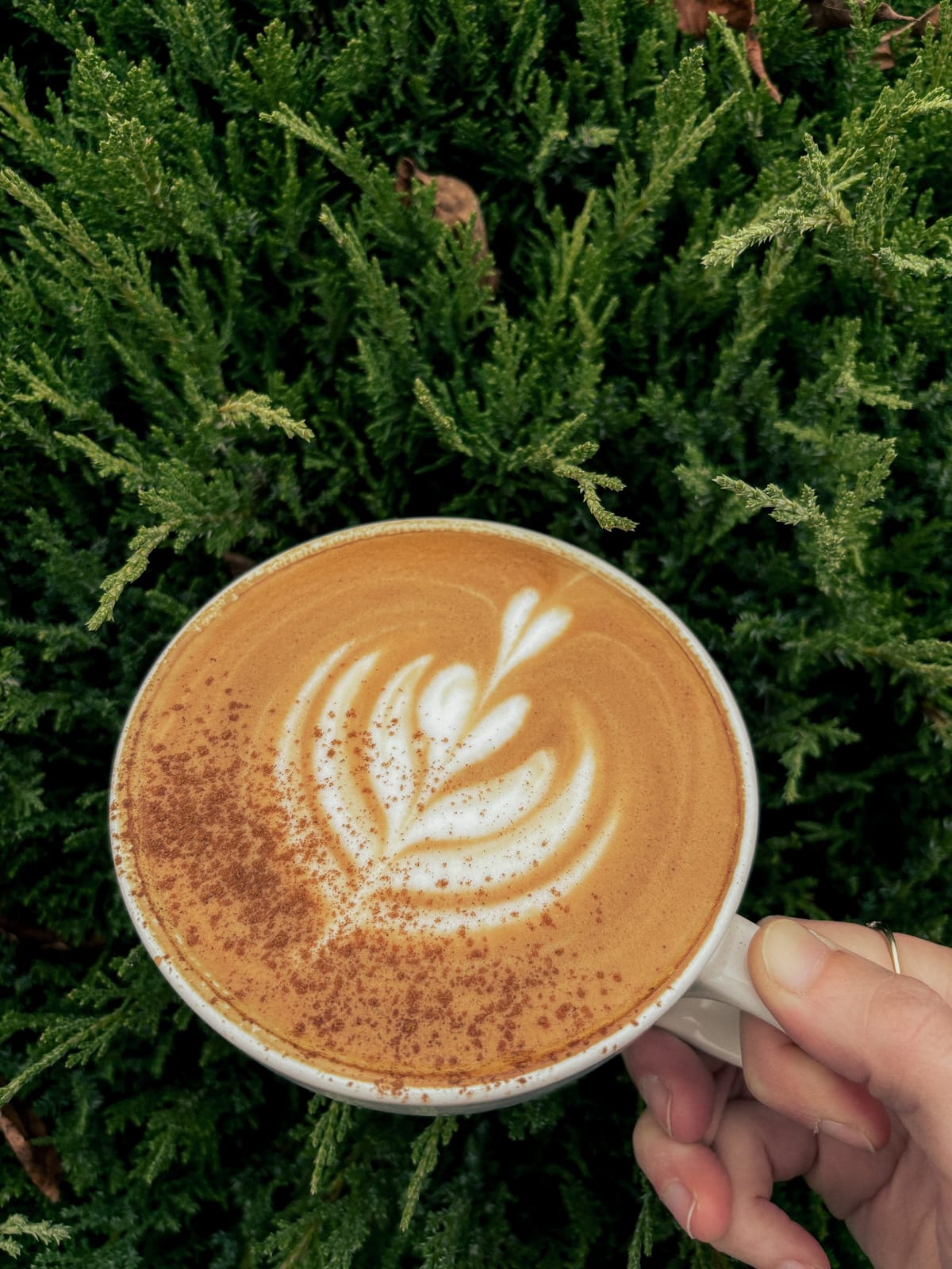 Imagine Coffee photo 4