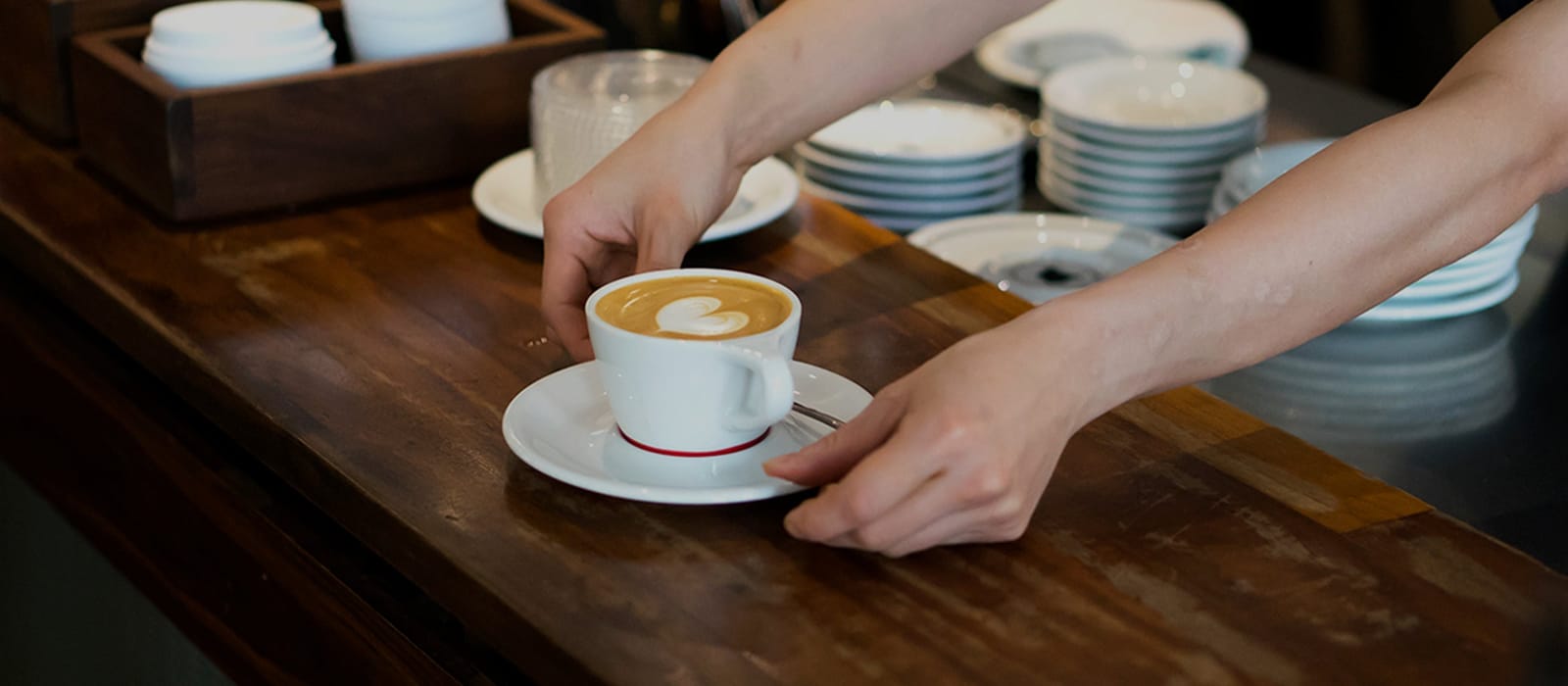Intelligentsia photo 6