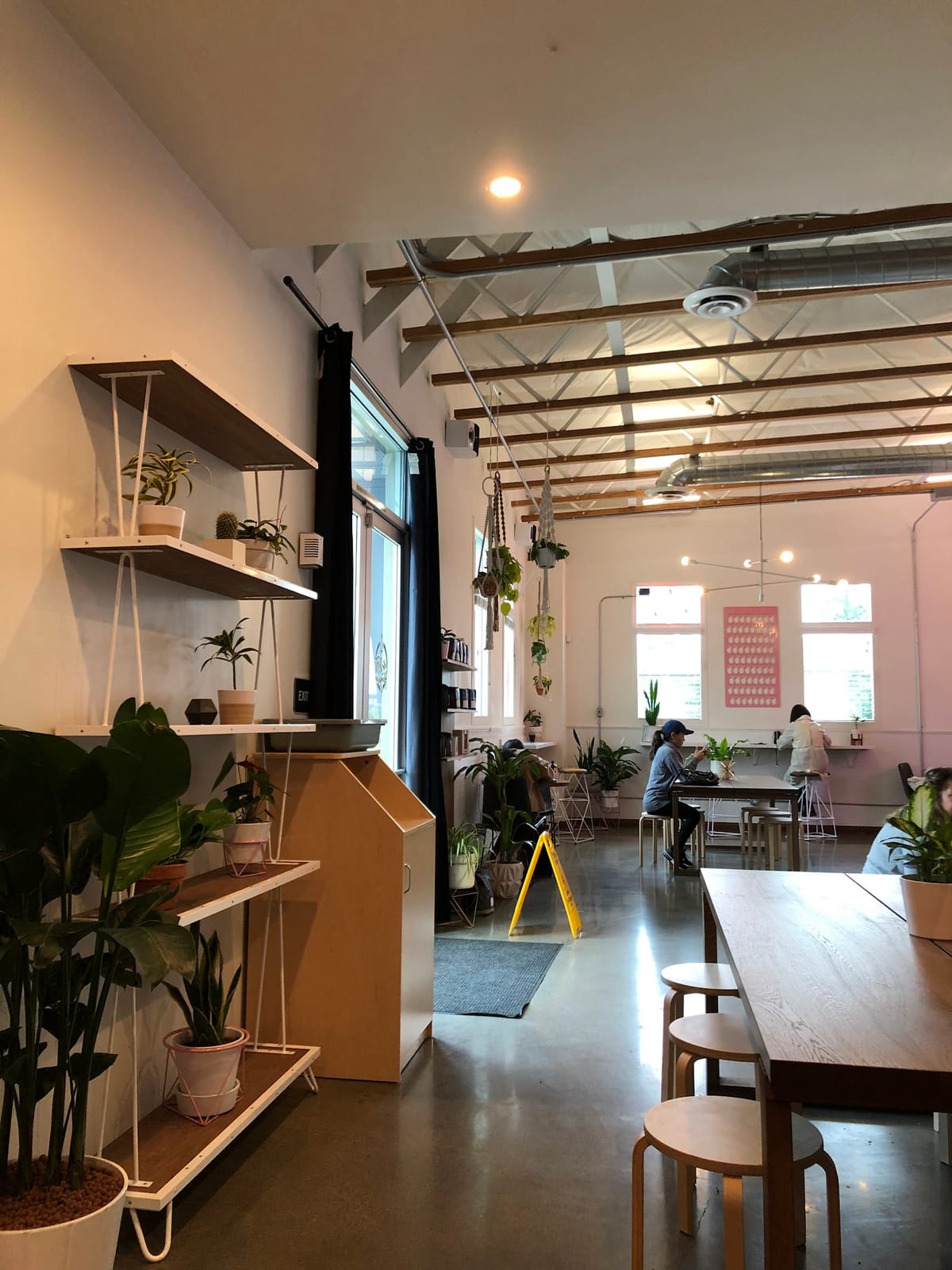 The Dirty Penguin Coffee Co.