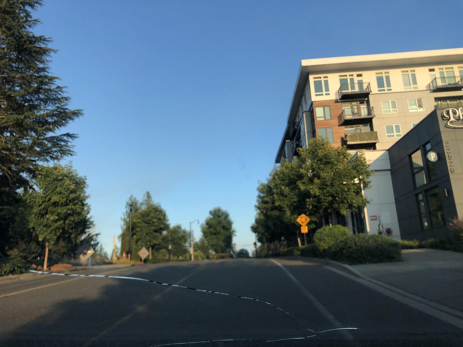 Papaya Sammamish