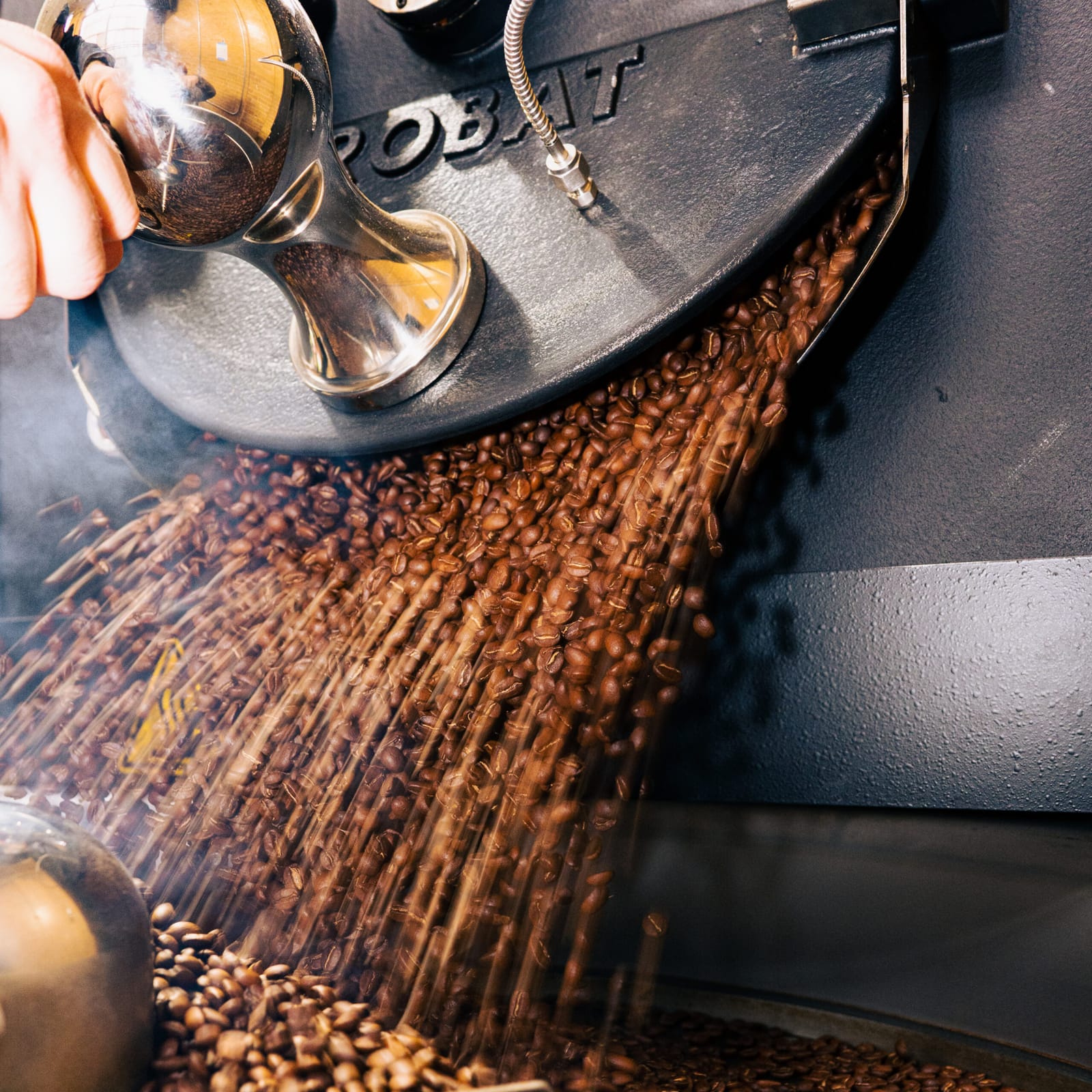 Rising Star Coffee Roasters
