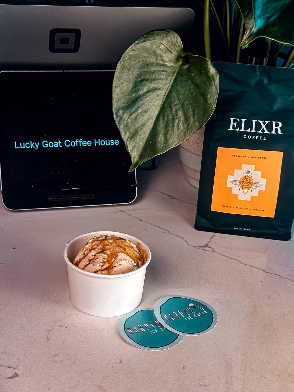 Lucky Goat Coffee House photo 6