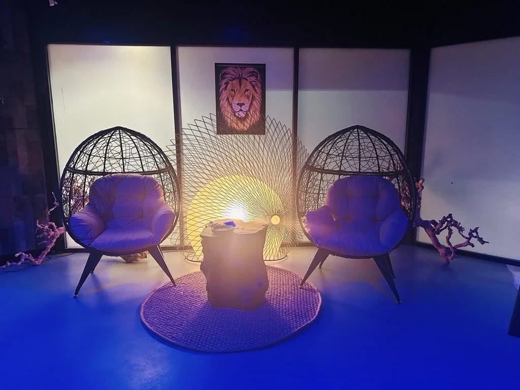 Tribe Tea Kava Lounge photo 9