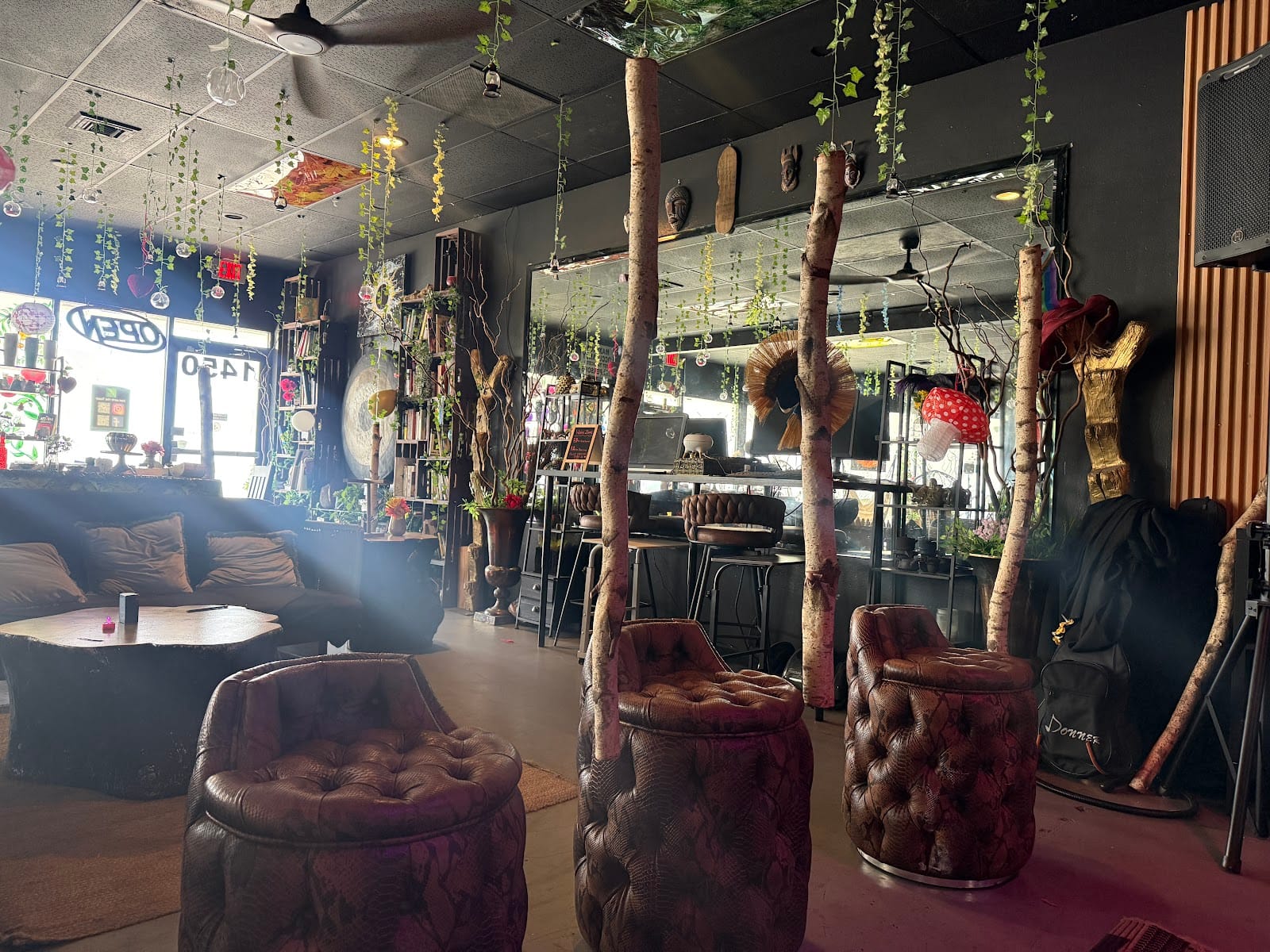 Tribe Tea Kava Lounge