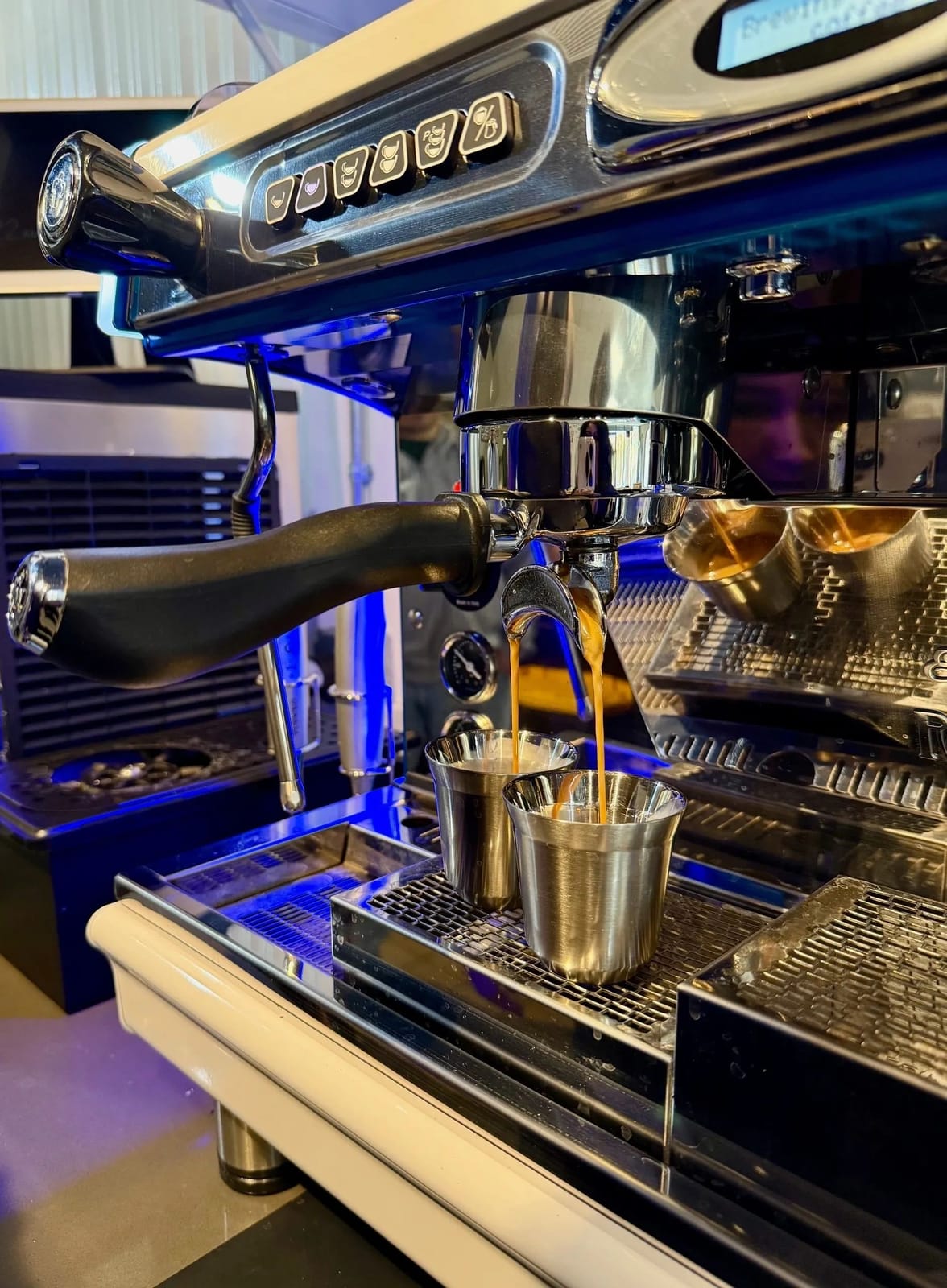 Bear & Kono's Coffee Shop