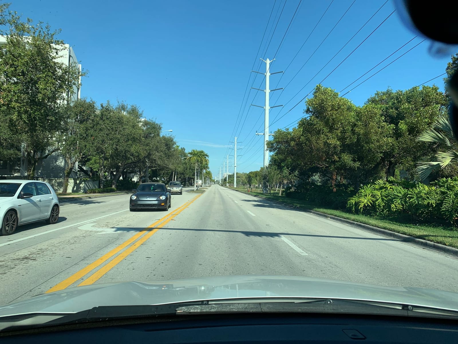 Pura Vida Miami