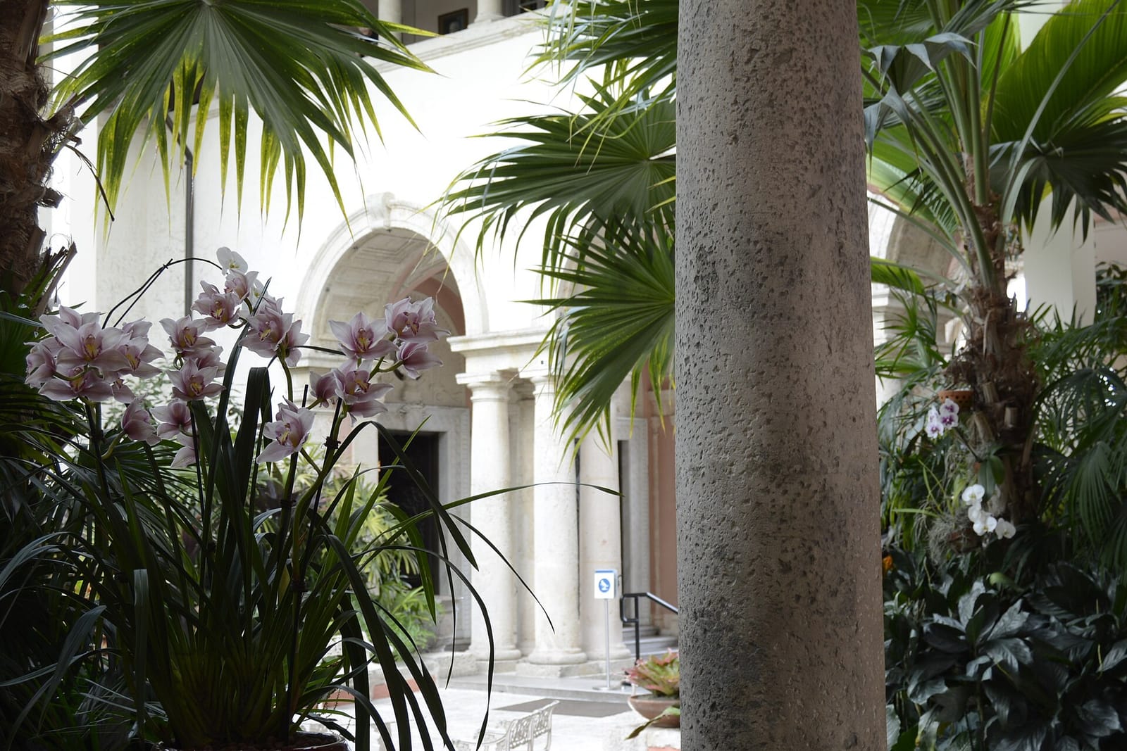 Vizcaya Museum Cafe & Shop photo 4